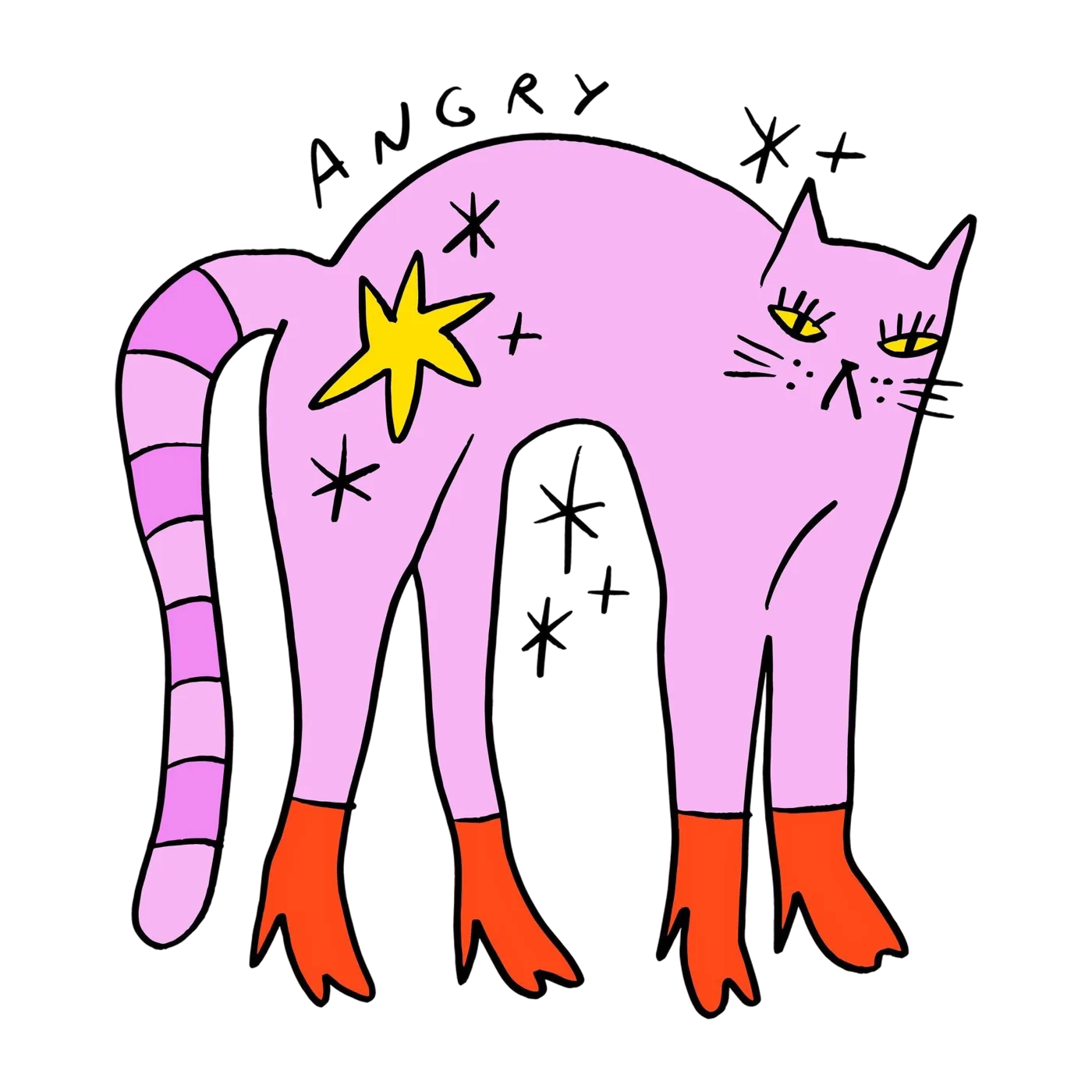 A hand-drawn illustration of a grumpy, unimpressed cat surrounded by sparkles